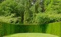 Neatly trimmed yew hedging surrounding the manicured lawn