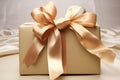 a neatly wrapped present with a big ribbon bow Royalty Free Stock Photo