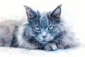 Nebelung watercolor, isolated on white background