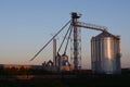 Nebraska feed yard at dusk