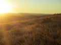 Nebraska field Royalty Free Stock Photo