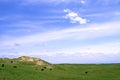 Nebraska Sandhills Scenic 58532