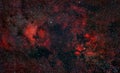 Nebulosity around Cygnus Constellation