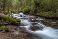 Necarney Creek smooth water flow Oswald West State Park