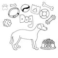 Necessary equipment for walking with dog. Simple line hand drawn illustrations in doodle cartoon style