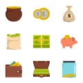 Necessary funds icons set, flat style Royalty Free Stock Photo