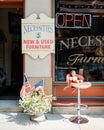 Necessities Vintage and Antiques, Hamburg, Pennsylvania