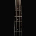 Neck of a Five Strings Bass Guitar Royalty Free Stock Photo