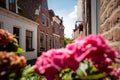 Dutch narrow street with old facades Royalty Free Stock Photo