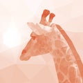 The neck and head of a giraffe look at the sunset. Polygon style. Orange-brown colors. Soft shade.