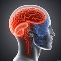 x-ray brain anatomy medical red headache medicine blue pain head. Generative AI.