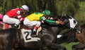 Neck and Neck Horse Race Royalty Free Stock Photo