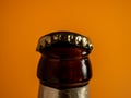 The neck of an open bottle of beer. Royalty Free Stock Photo