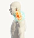 Neck painful - cervica spine skeleton x-ray, 3D illustration.