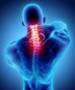 Neck painful - cervical spine skeleton x-ray, 3D illustration. Royalty Free Stock Photo