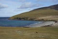 The Neck. A wildlife hotspot on Saunders Island