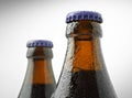 Neck of a trappist beer bottle Royalty Free Stock Photo