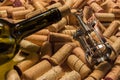 The neck of a wine bottle with a cork next to a corkscrew for opening against the background of a large number of wine corks.