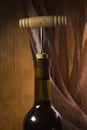 The neck of a wine bottle Royalty Free Stock Photo