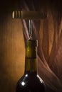 The neck of a wine bottle Royalty Free Stock Photo