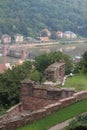 Neckar River Valley Royalty Free Stock Photo