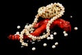 Necklace, coral, pearls and shells on a black background Royalty Free Stock Photo