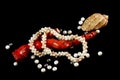 Necklace, coral, pearls and shells on a black background Royalty Free Stock Photo