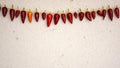 Necklace of fresh ripe chili pepper hanging to dry in the sun on a string. Gas Concrete wall in background