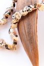 Necklace made of seashells