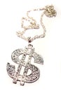 Necklace with US dollar sign Royalty Free Stock Photo