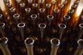 The necks of empty beer bottles, which will pour beer, top view