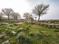 Necropolis of Madau, archaeological site on the slopes of Gennargentu - Sardinia
