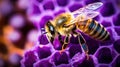 nectar honeycomb bee farm Royalty Free Stock Photo