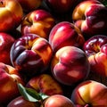 Nectarine fresh raw organic fruit