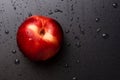 Nectarine fruit isolated on wet black background Royalty Free Stock Photo