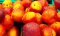nectarine fruit Royalty Free Stock Photo