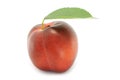 Nectarine and green leaf Royalty Free Stock Photo