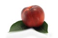 Nectarine and green leaves Royalty Free Stock Photo