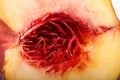 Nectarine half, without stones, close-up, Royalty Free Stock Photo
