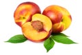 Nectarine Peach Fruits Isolated on White Royalty Free Stock Photo