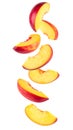 Nectarine slices falling chaotically on transparent background with clipping path Royalty Free Stock Photo
