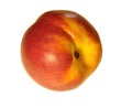 Nectarine, smooth-skinned peach of the family Rosaceae that is grown throughout the warmer temperate regions of both the Northern