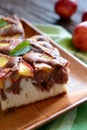 Nectarine sponge cake Royalty Free Stock Photo