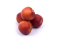 Nectarine Royalty Free Stock Photo