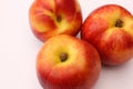 Nectarine on white background