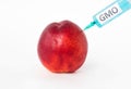 Nectarine on a white background in which inject from the syringe gmo and nitrates, close-up, genetically modified organism Royalty Free Stock Photo