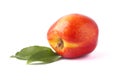 Nectarine whole with two leaves isolated Royalty Free Stock Photo