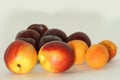 Nectarines, apricots and plums Royalty Free Stock Photo