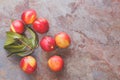 Nectarines Royalty Free Stock Photo