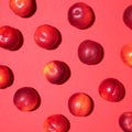 Nectarines pattern on red background. Frame made of fresh fruits. Flat lay, top view, copy space. Vegan and vegetarian diet Royalty Free Stock Photo